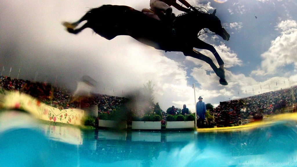 Equestrian Horses HD Wallpapers