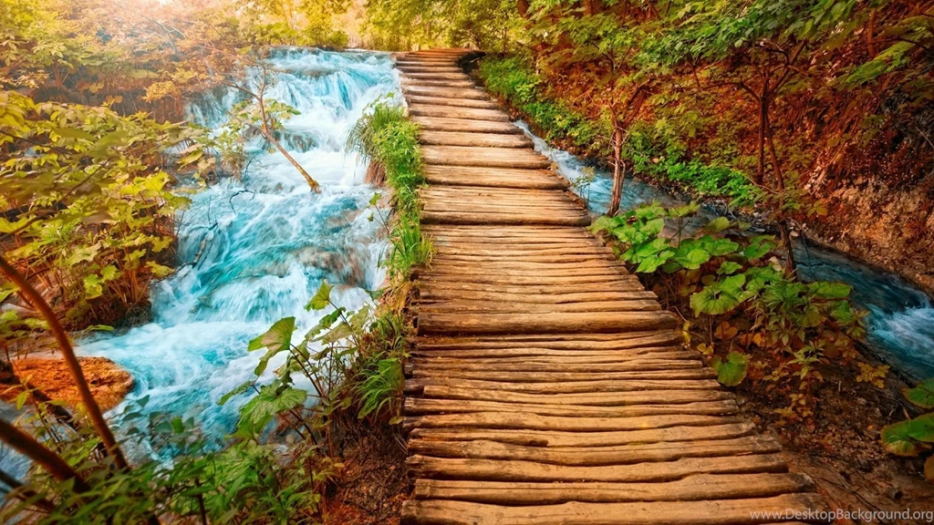 Wooden Path HD Wallpapers, Wooden Path Images, New Wallpapers