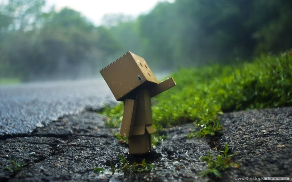 Free Wallpapers Free Photography Wallpapers Danboard Wallpapers ...