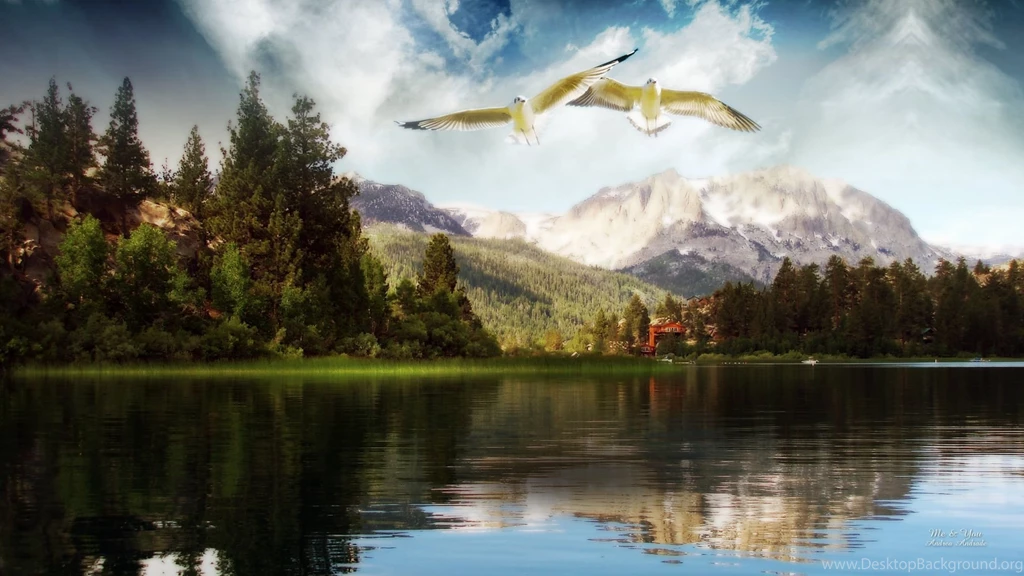 Fairy Fantasy Birds Wallpapers