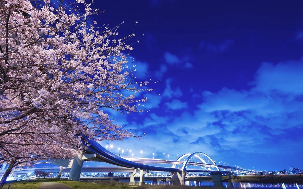 Cherry Blossoms, Japan Desktop Wallpapers FREE On Latoro.com