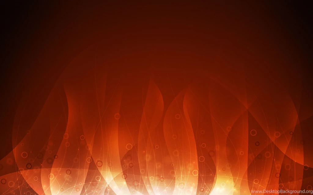 White Bunny Wallpapers Phone