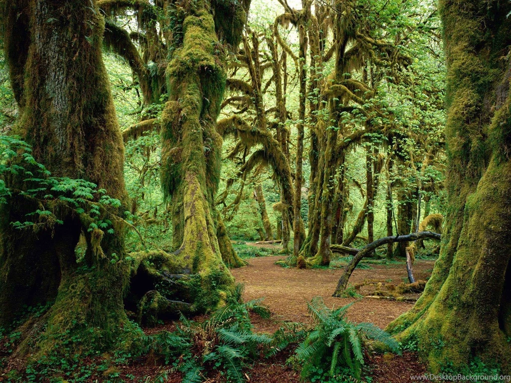 Nature Images HD Wallpapers 1869