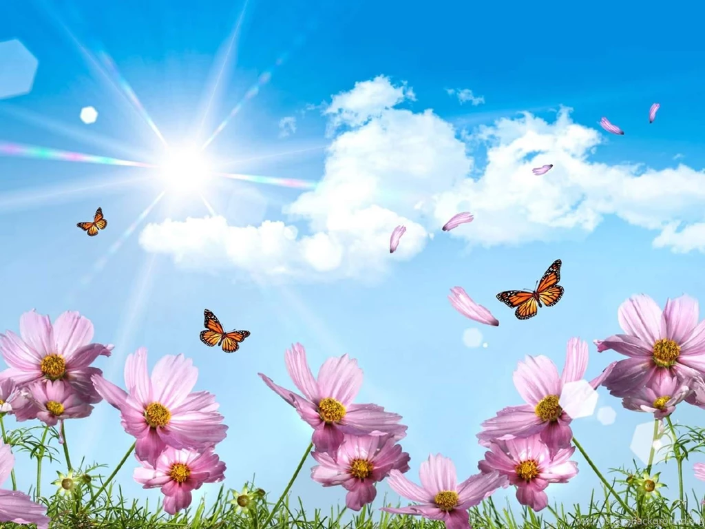 Summer Desktop Wallpapers Free