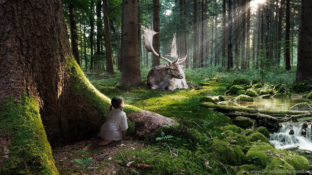 Theme Bin» Blog Archive » Forest Dream HD Wallpapers