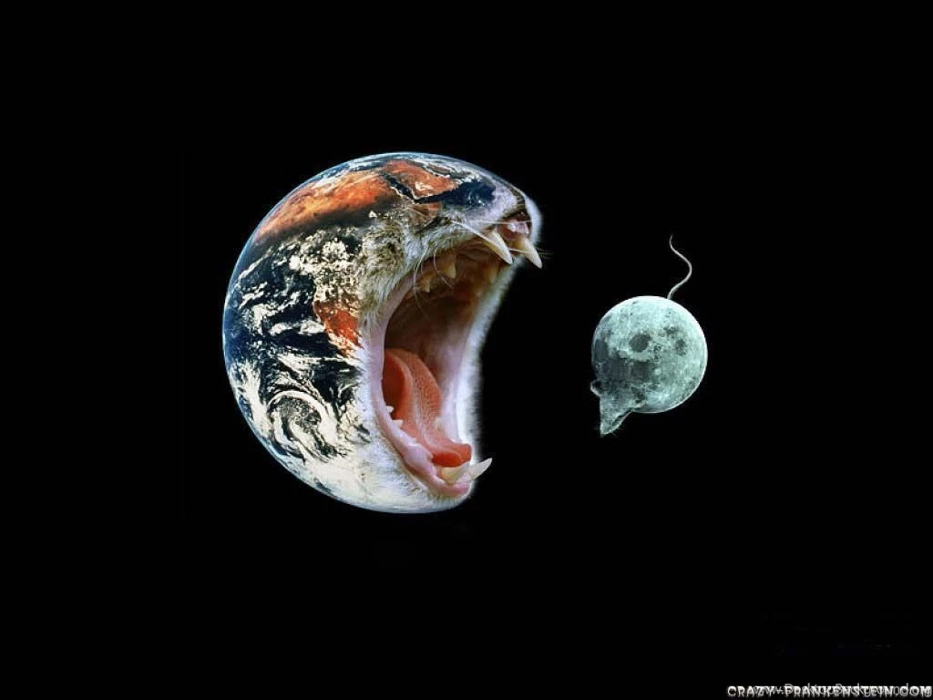 Funny Miscellaneous Wallpapers Crazy Frankenstein