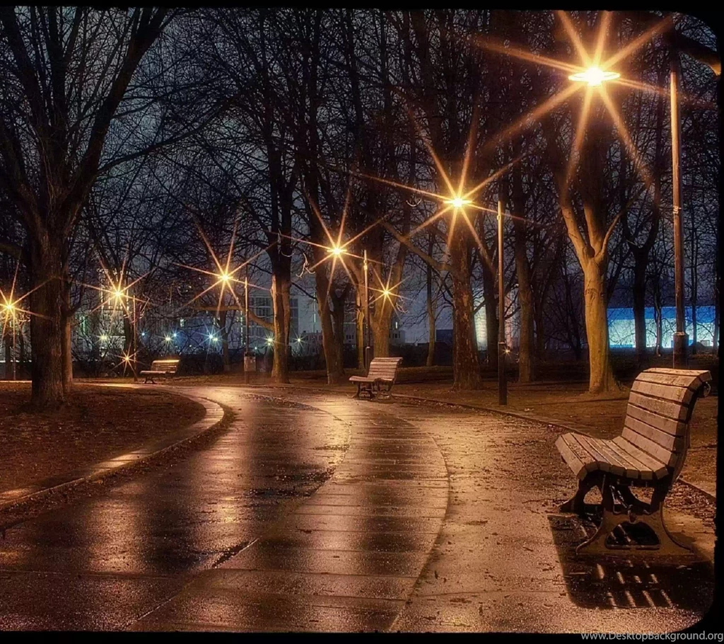 Cool Park Scenery Night
