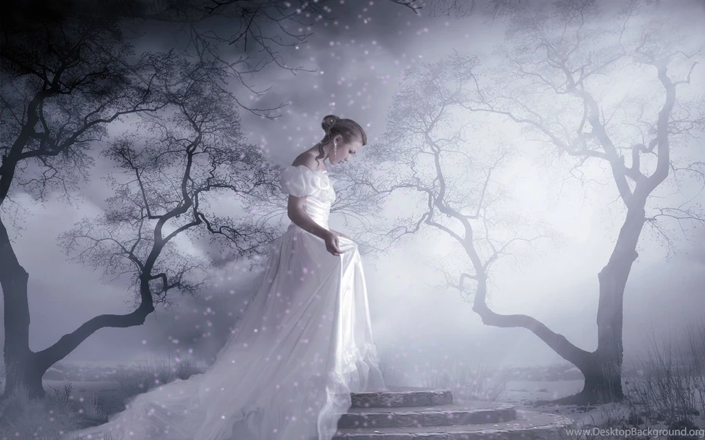 White Beauty Desktop Wallpapers , New Wallpapers, New Wallpapers