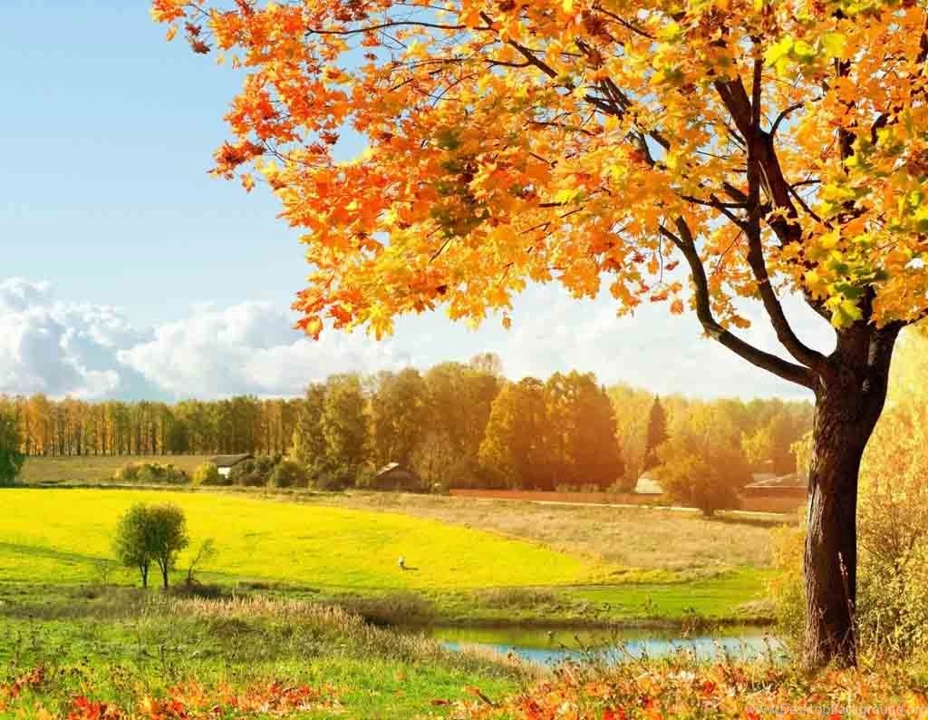 Free Fall Pictures Desktop Wallpapers