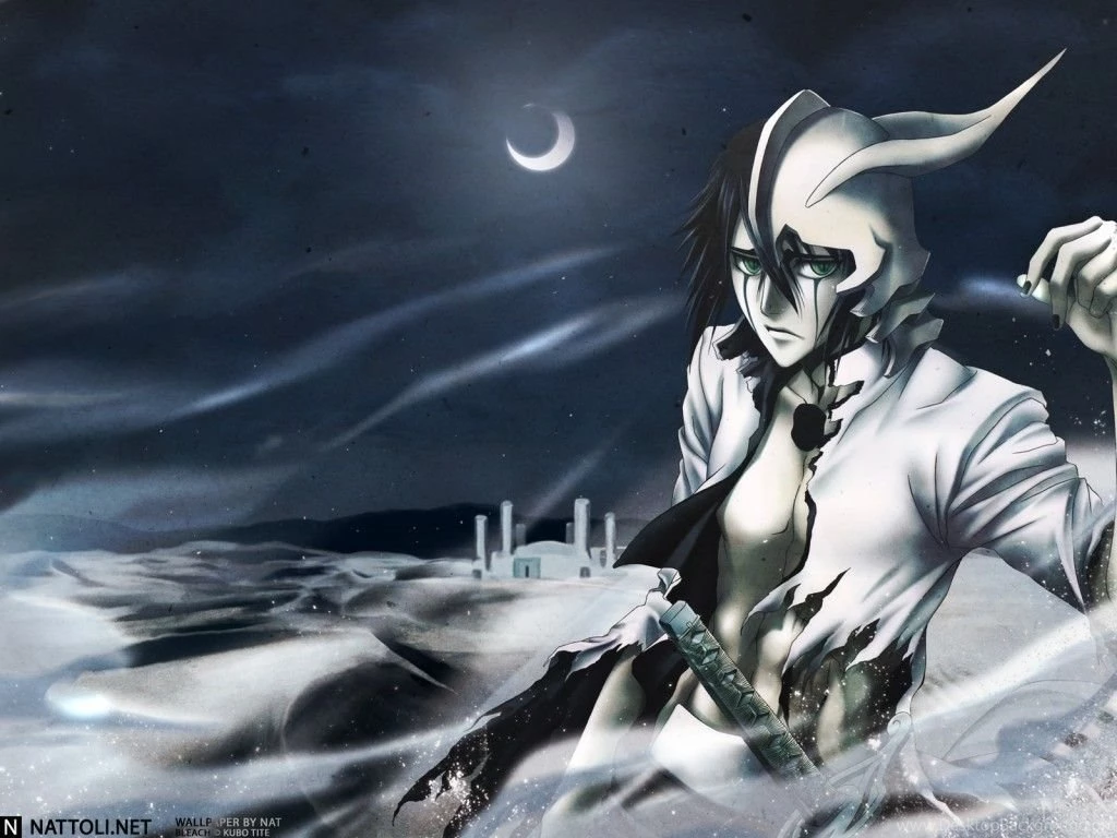 Bleach Pics .*****. Bleach Anime Wallpapers (8637956) Fanpop