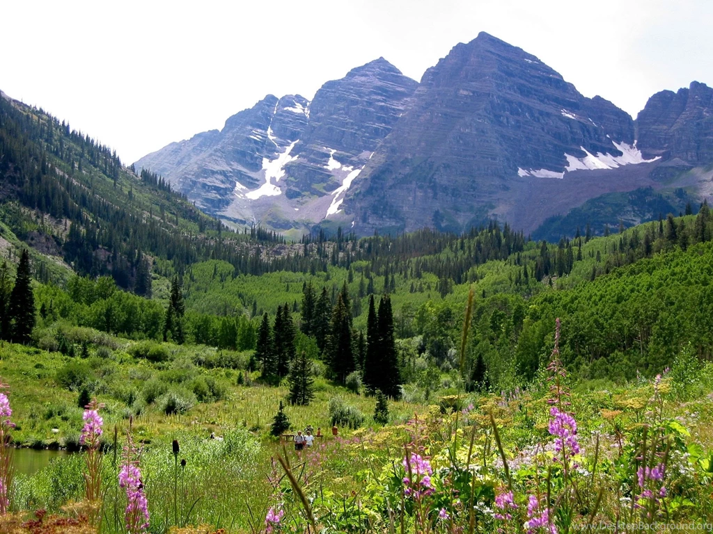 Maroon Bells With Wild Flowers, Aspen, Colorado