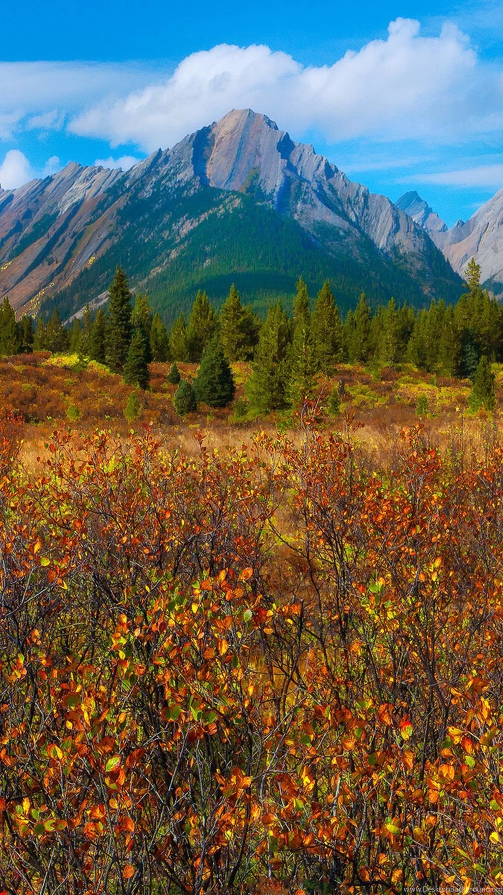 Wallpapers Weekends: Fall Has Fell Autumn Wallpapers For The ...