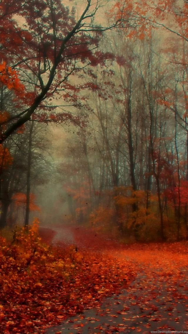 Awesome Autumn Wallpapers For Your iPhone HD The Nology