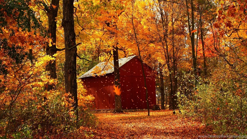 Download Wallpapers 3840x2160 Leaf Fall, Autumn, Garage, Wood ...