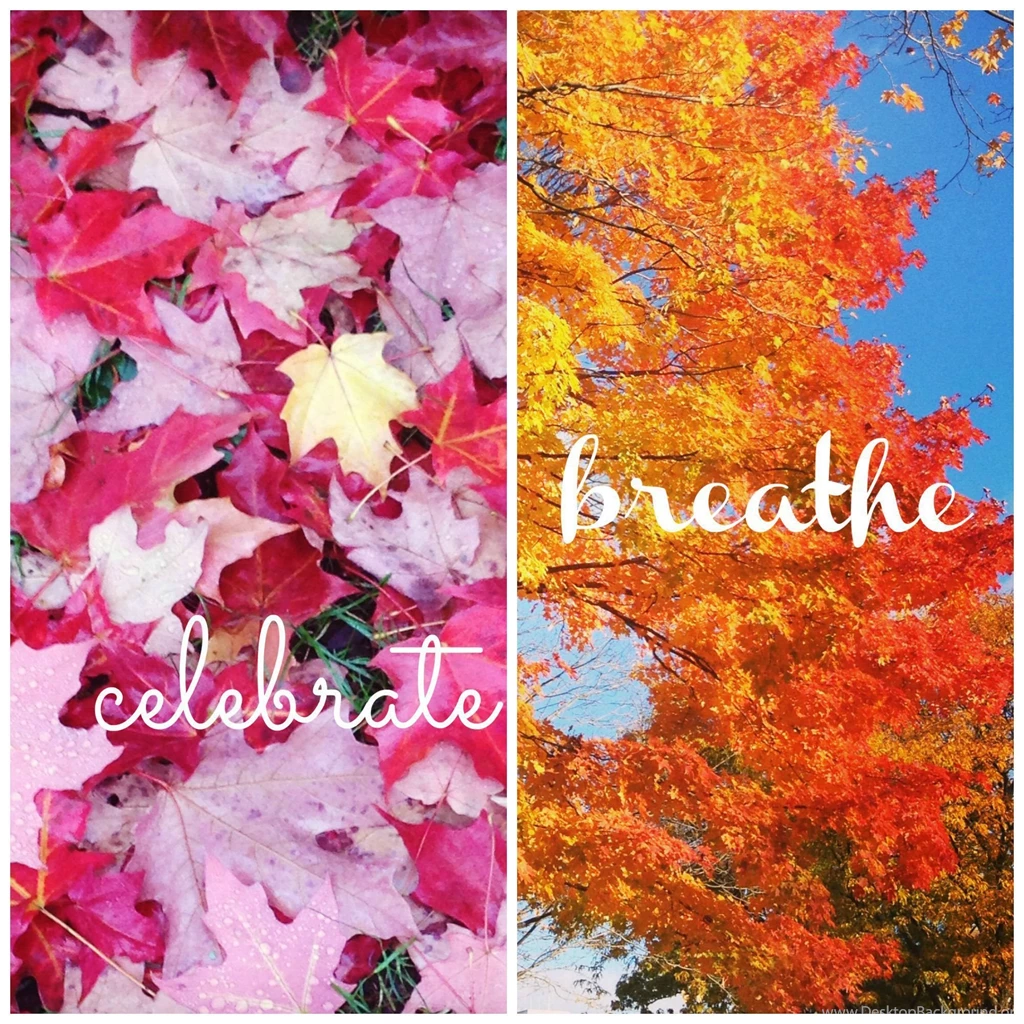 8 Ways To Celebrate Autumn No Matter Where You Live