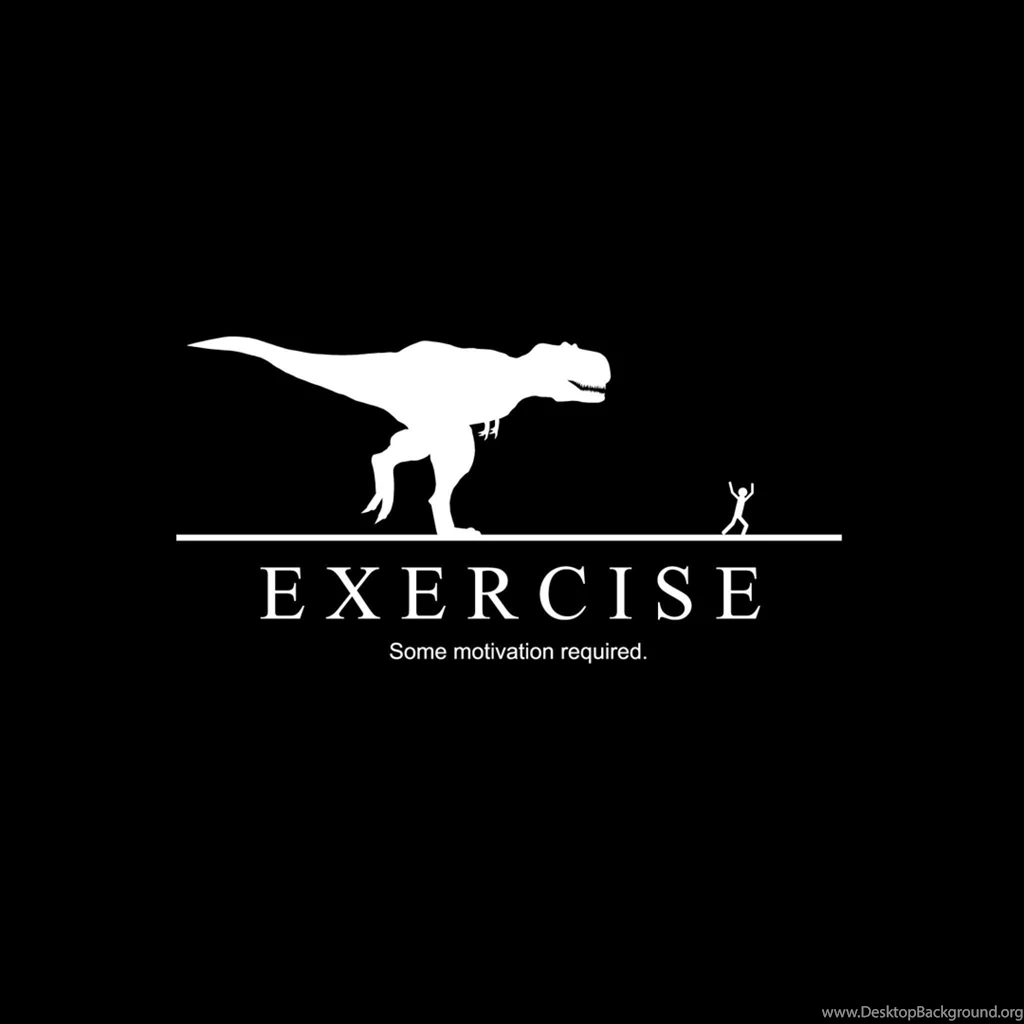 GoSeekit.com Image Great Funny Wallpapers