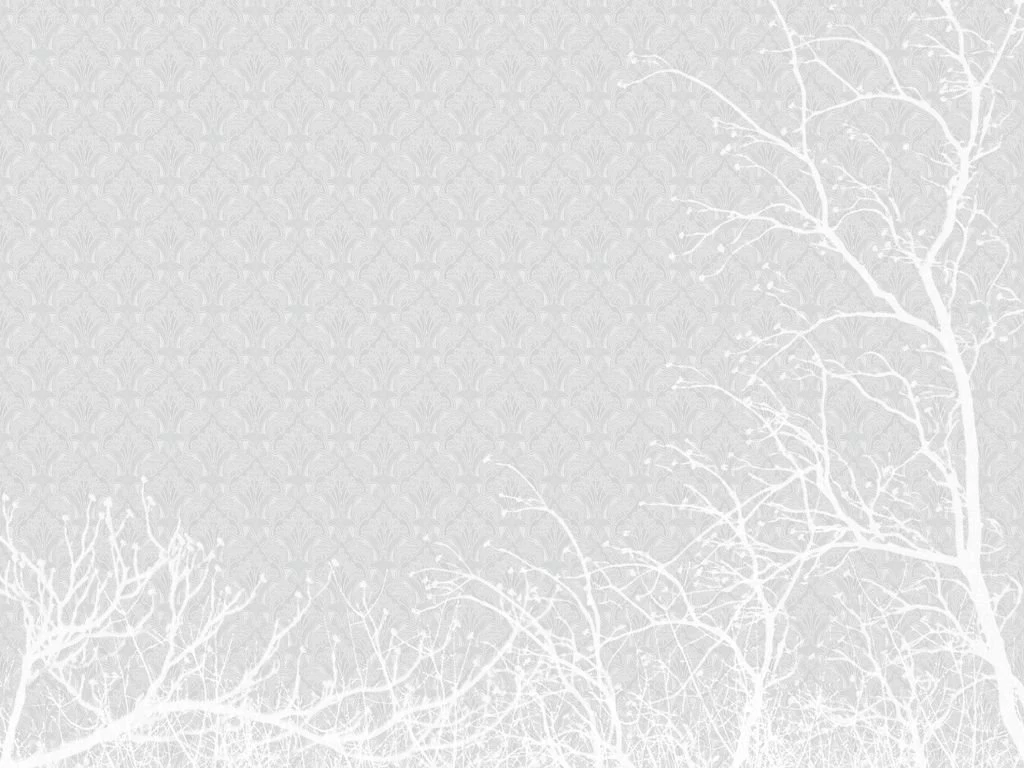 Download White Wallpapers Beautiful K9N » Coolwallpapers2016.com