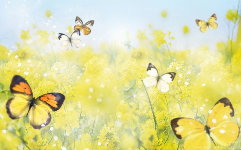 Butterfly desktop background.jpg