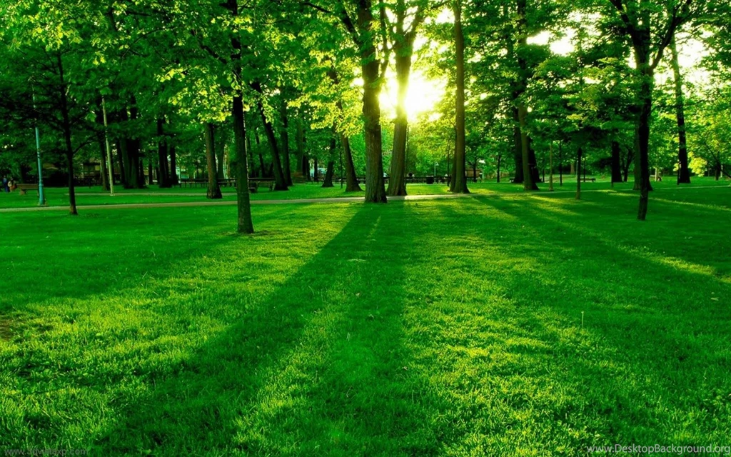 Nature Pictures Wallpapers Desktop