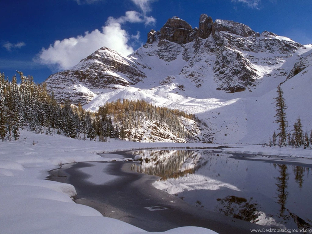 HD Wallpapers Source Page 465 Of 489 100% Quality HD Desktop ...