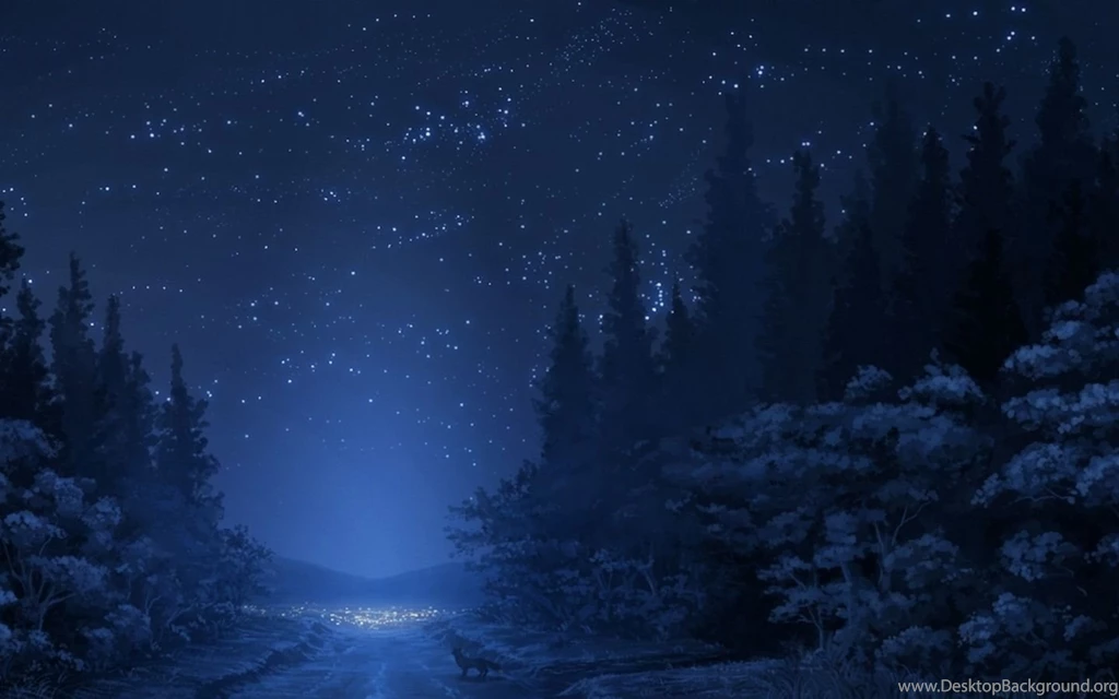 WINTER NIGHT WALLPAPERS WAF1001