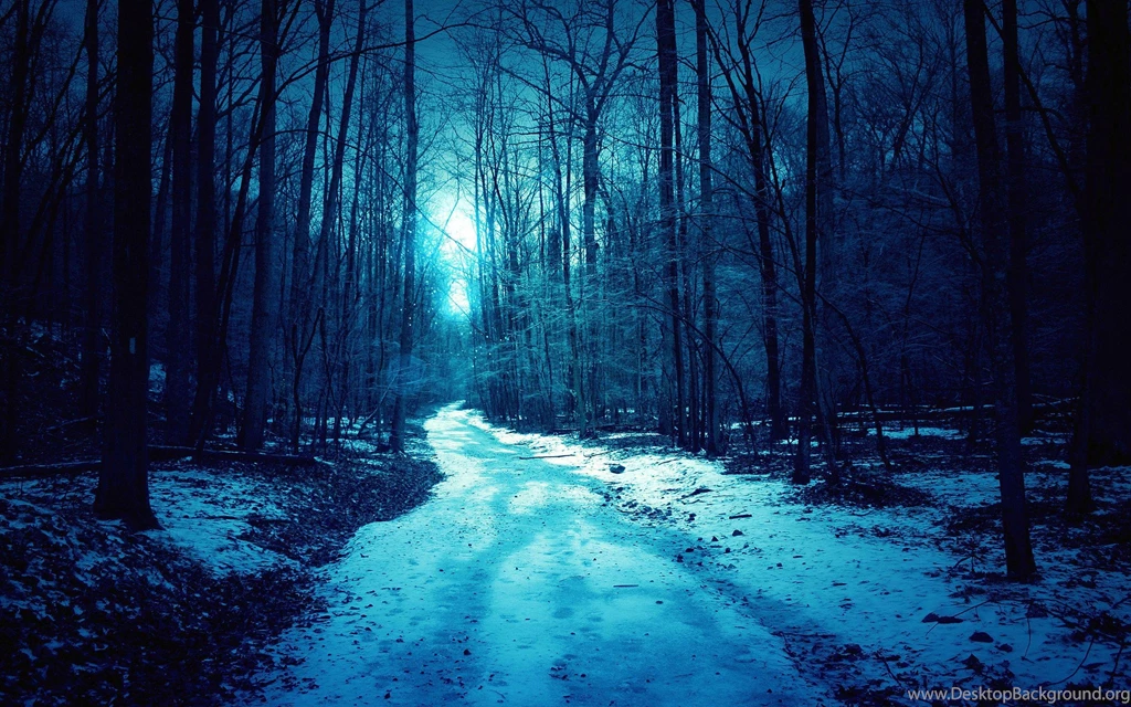 Wallpapers Of Winter Night Wallpapers