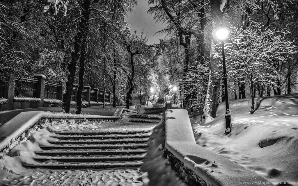 WINTER NIGHT WALLPAPER WSP027