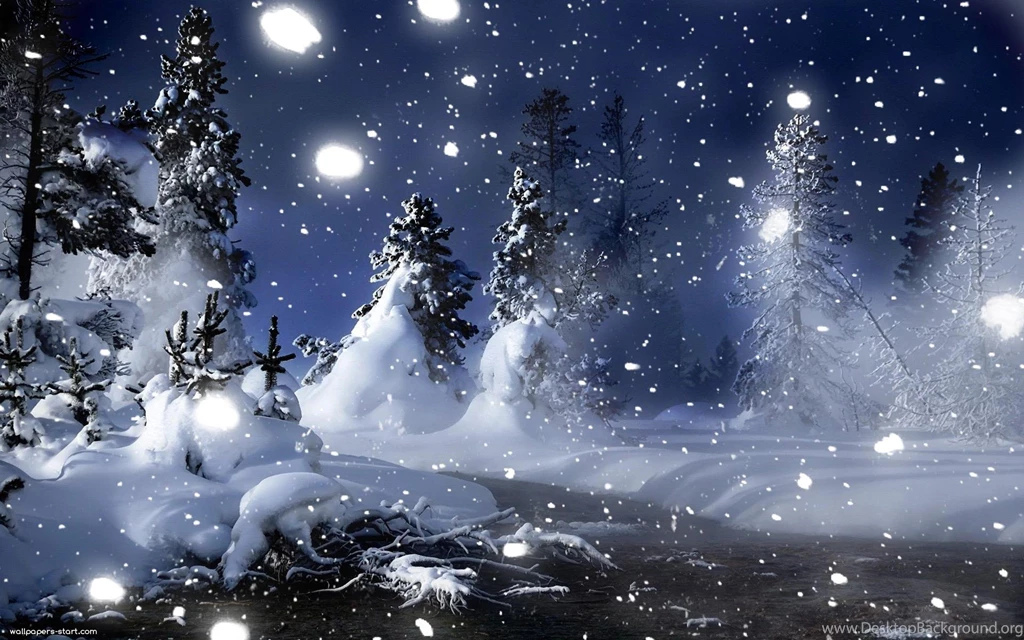Winter Night Wallpapers 2560x1600px
