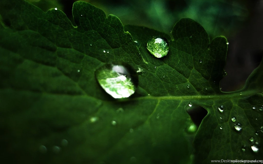 Hd Pictures 1920X1080 All Wallpapers New