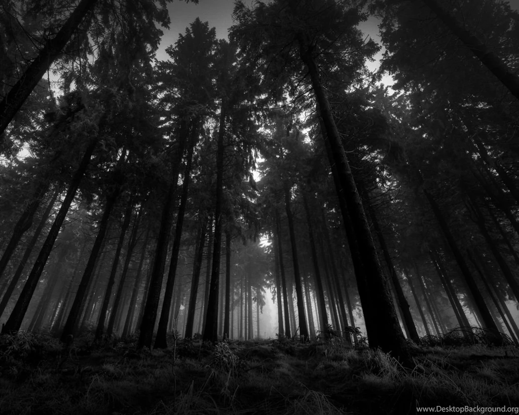 1280x1024 Wood Wallpapers HD, Desktop Backgrounds 1280x1024