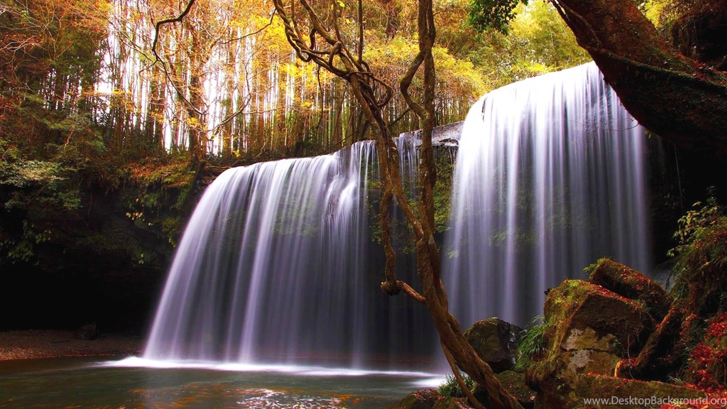 Forest Waterfall Wallpapers HD 1080p For Desktop Desktop Background