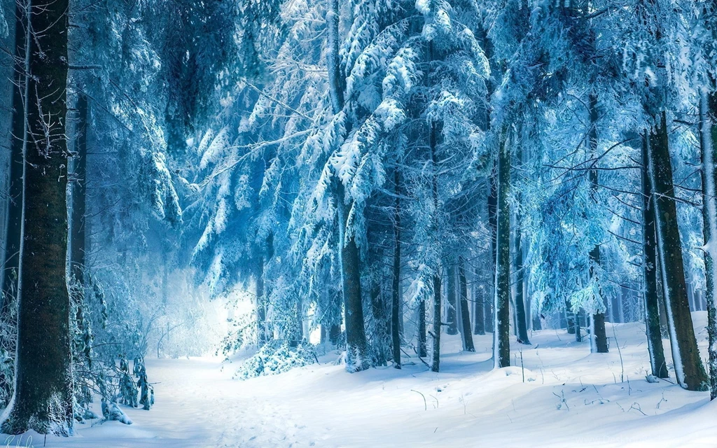 Winter Backgrounds Wallpapers