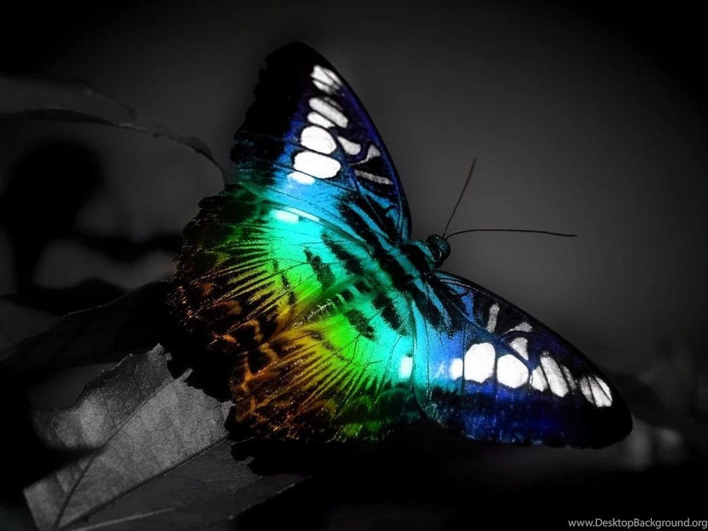 1080p Wallpapers P Wallpapers High Definition Wallpapers [Your ...