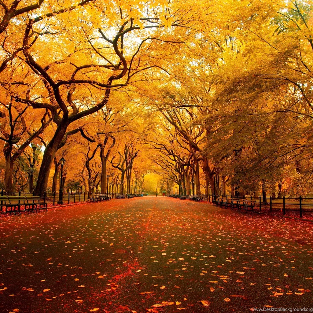 New ipad wallpaper hd 2048×2048 561