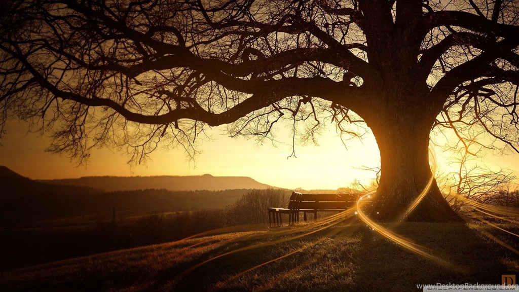 Autumn HD Wallpapers