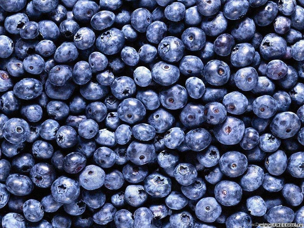 Food Wallpapers For Desktop 7 Hd Wallpapers XDwallpaper.com