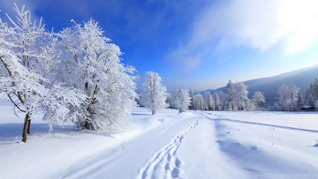 Winter Wallpapers Cool