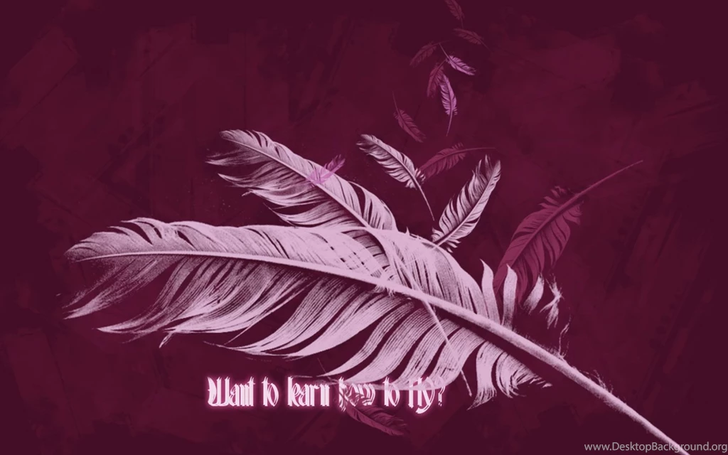 Feather Computer Wallpapers, Desktop Backgrounds
