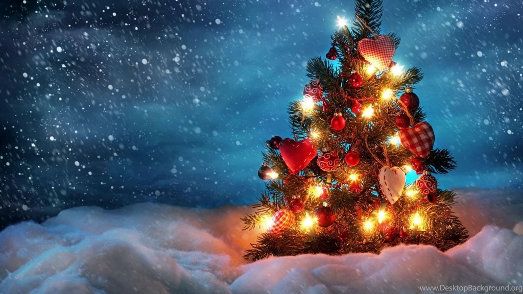 1600x900 Tree Wallpapers HD, Desktop Backgrounds 1600x900