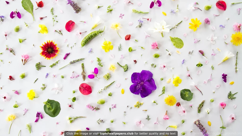 Best 2560x1440 4K Or HD Wallpapers For Your PC, Mac Or Mobile Device