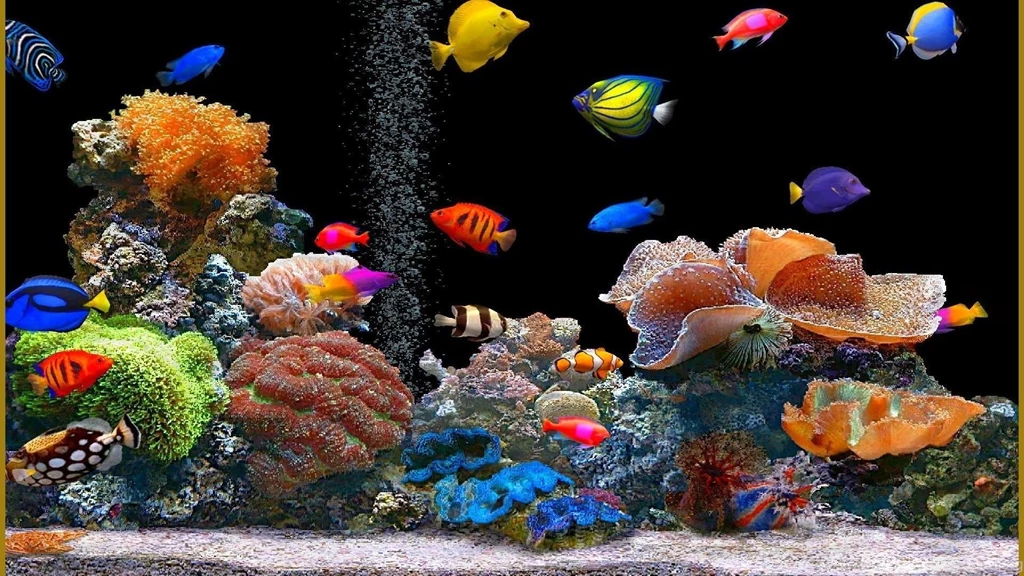 Life, Water, Background, Images, Animals (