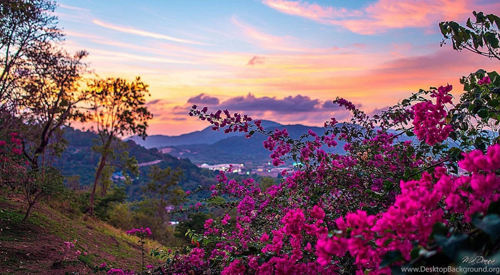 Springtime_wallpaper_for_desktop_1.jpg