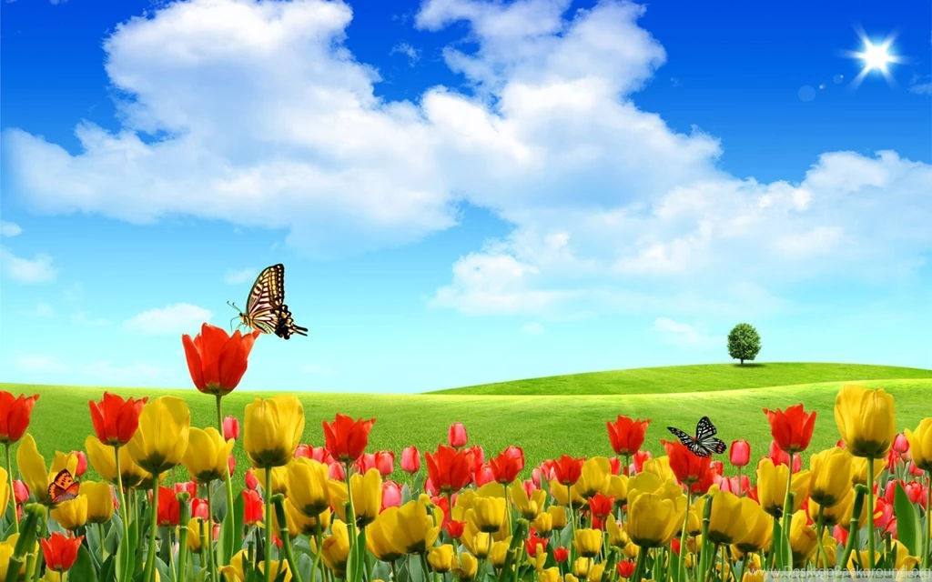 Desktop Images Spring Jaidendesigns.com