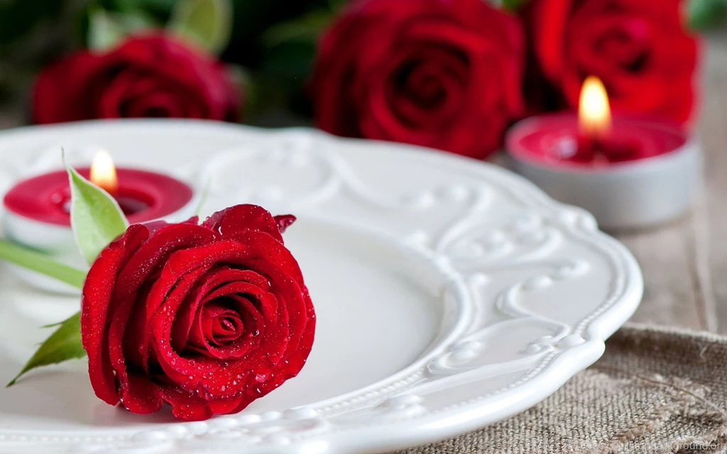 Red Rose On A Plate Flower Hd Wallpapers