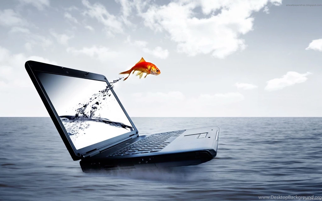 Hd Wallpapers For Laptop All Wallpapers New