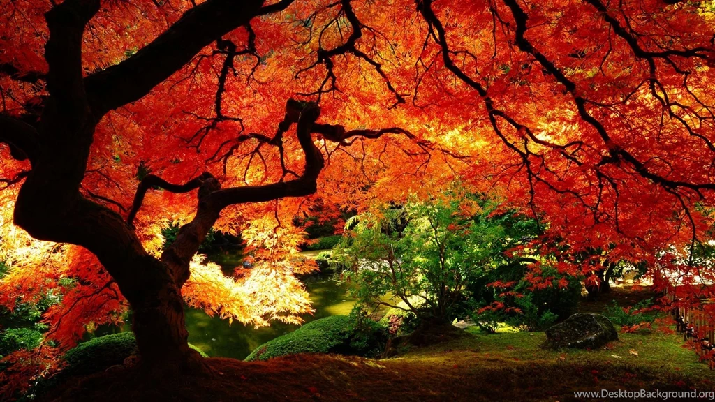 Gallery For Fall Time Backgrounds