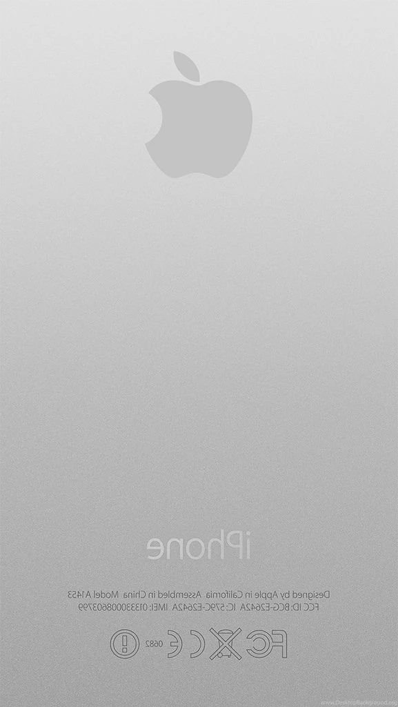 iPhone 5s Silver Back