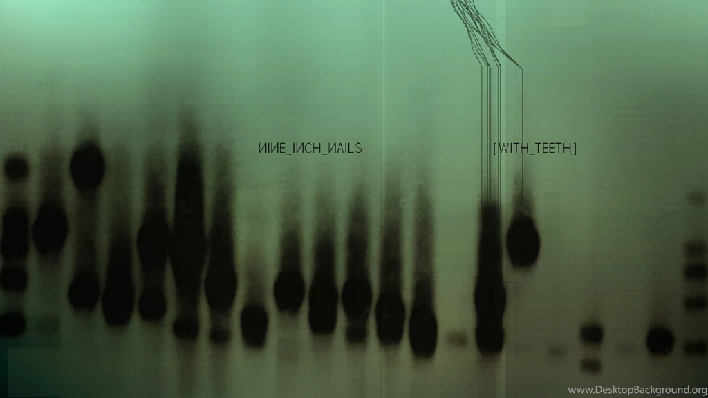 Download Wallpapers 2560x1440 Nine Inch Nails, Background, Cover ...