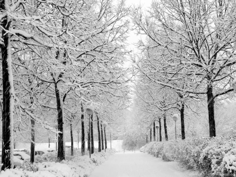 FreePhotoz Daily Wallpapers & Backgrounds