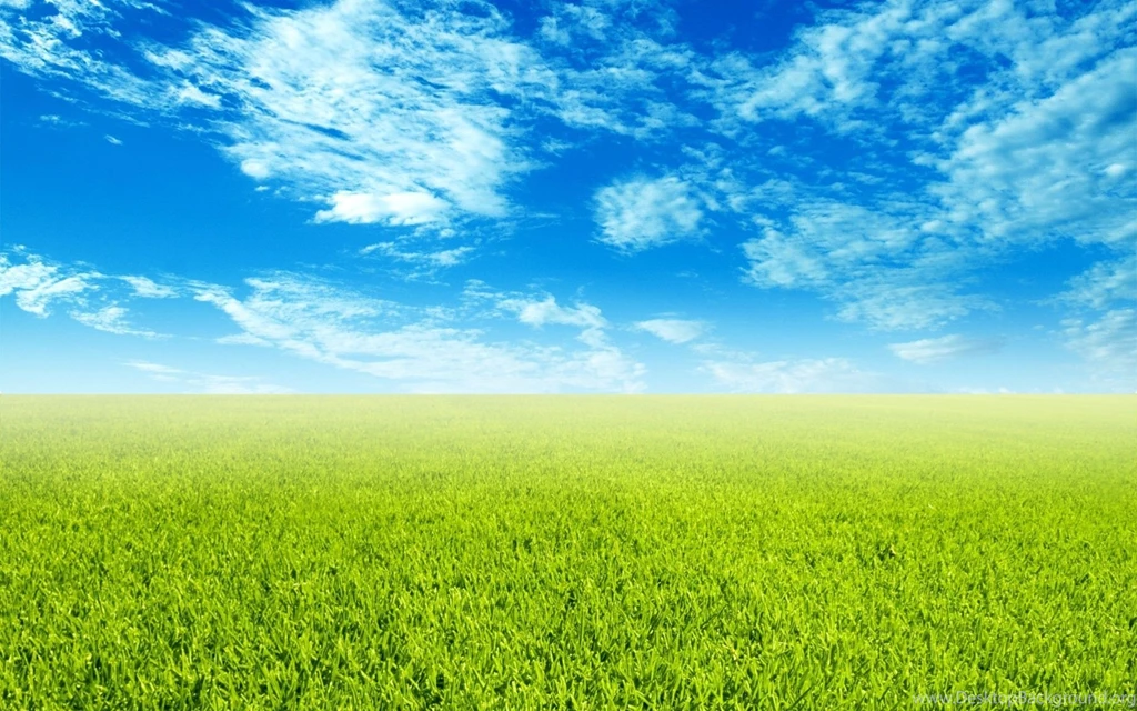 Green, Grass, Backgrounds (